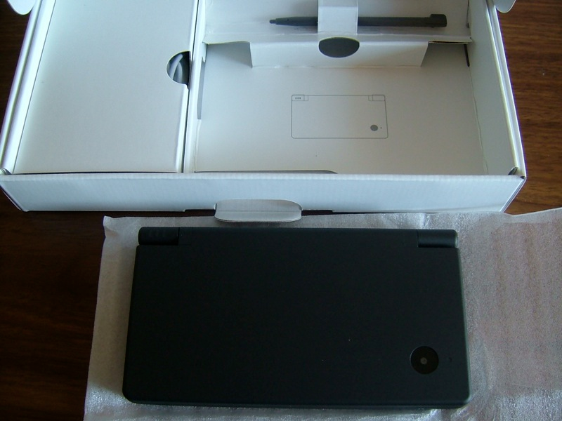 Illustration for article titled One of You Will Get This Nintendo DSi